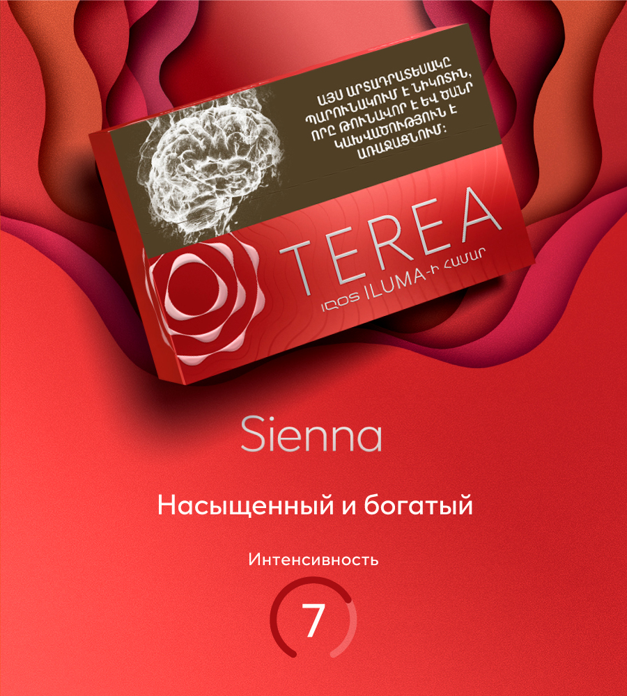 Стики Армения — Sienna